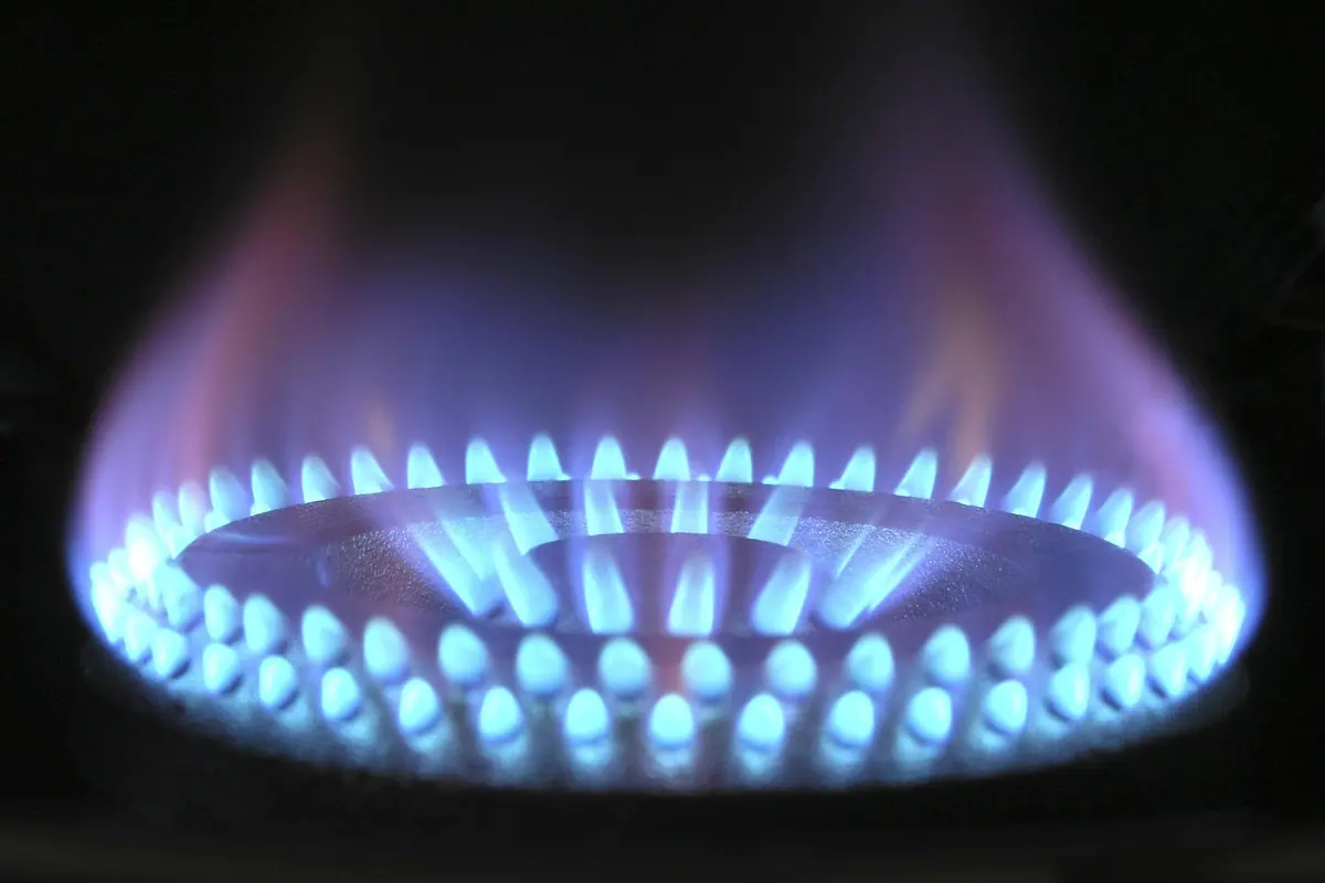 Flacără albastră de gaz arzând uniform pe aragazul unei bucătării